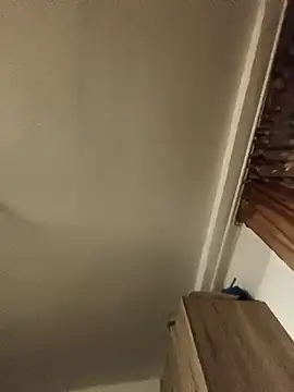 Sakura 2000 online show from 01.31.26