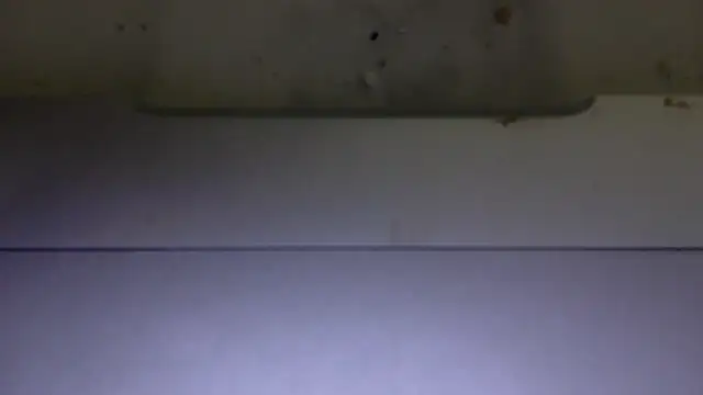 edger4lif3 online show from 11.15.25