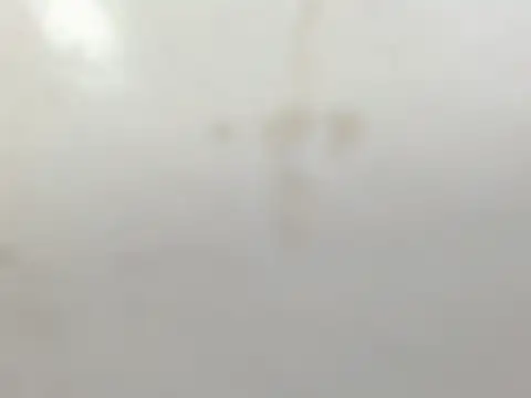 Snapshot of Penelopee_Rouse chatting on 10.20.25 Penelopee Rouse online show from 10.20.25