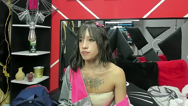 sharik noa online show from 12.01.25