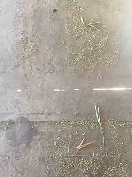 Snapshot of Chico031289 chatting on 10.28.25 Chico031289 online show from 10.28.25