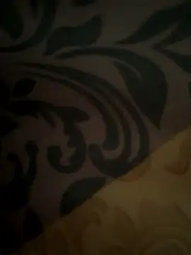 danilyns online show from 01.08.26