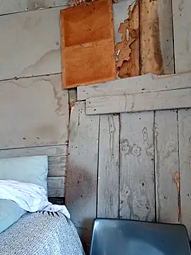 SeductiveDick1997 online show from 03.19.26