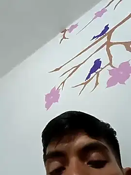 Snapshot of DavidVergagigante420 chatting on 10.29.25 DavidVergagigante420 online show from 10.29.25