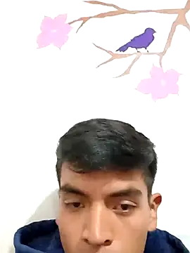 Snapshot of DavidVergagigante420 chatting on 11.05.25 DavidVergagigante420 online show from 11.05.25