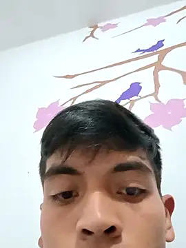 Snapshot of DavidVergagigante420 chatting on 11.06.25 DavidVergagigante420 online show from 11.06.25