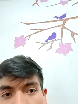 Snapshot of DavidVergagigante420 chatting on 11.17.25 DavidVergagigante420 online show from 11.17.25