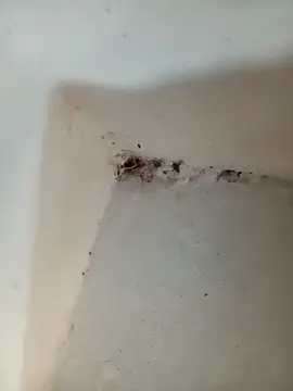 Punam jindal online show from 10.07.25