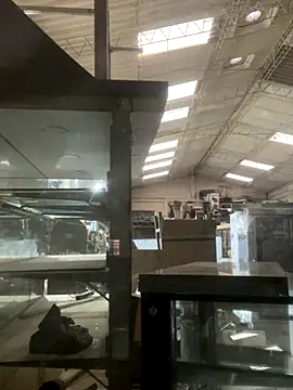 Snapshot of True_Di chatting on 12.14.25 True Di online show from 12.14.25