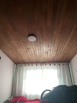 XBODTRIIPX online show from 03.03.26