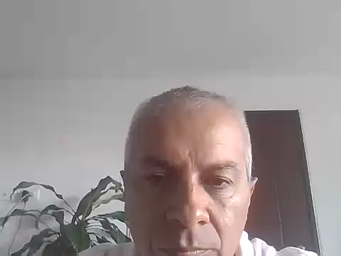 ALFRERM online show from 10.12.25