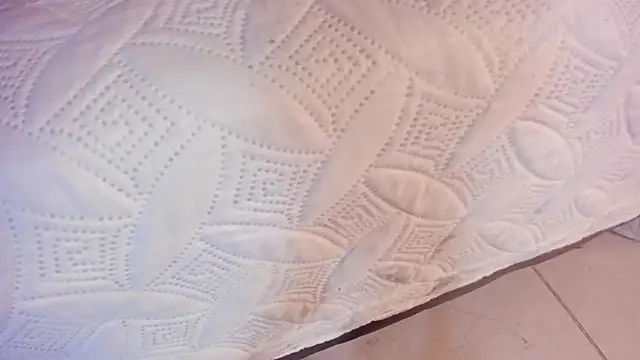 Ambeer fox  online show from 03.26.26