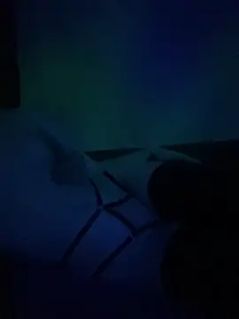 gjollyros online show from 02.18.26