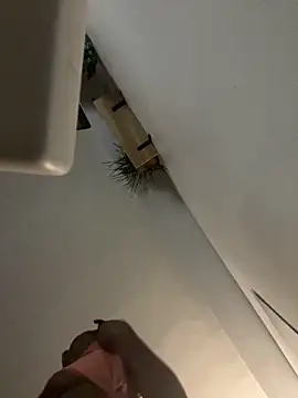 Snapshot of littyleesh1 chatting on 04.14.26 littyleesh1 online show from 04.14.26