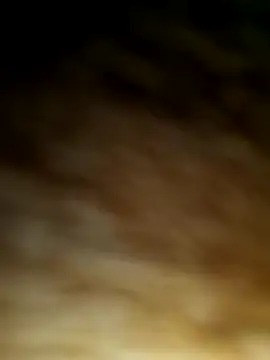 WolfMenSL online show from 10.08.25