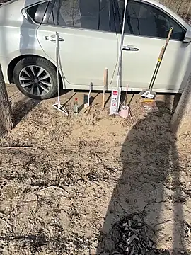 Snapshot of Fengbaby-555 chatting on 02.03.26 Fengbaby-555 online show from 02.03.26