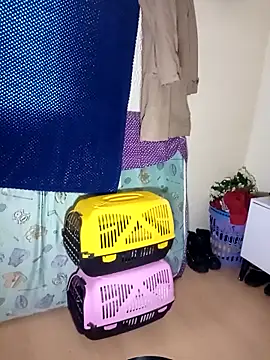 kittymutant99 online show from 12.22.25