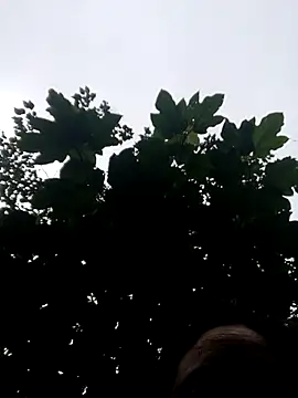 kemtuoi-sex online show from 10.19.25