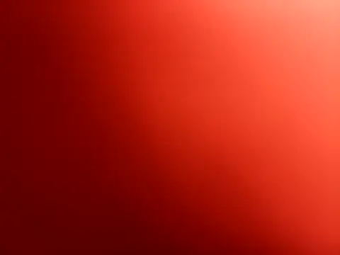 fernandowall online show from 11.21.25