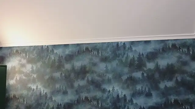 Snapshot of MarkShot_ chatting on 11.11.25 MarkShot online show from 11.11.25