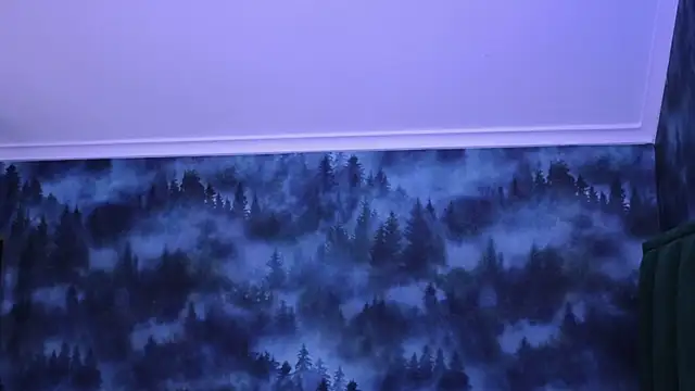 Snapshot of MarkShot_ chatting on 11.22.25 MarkShot online show from 11.22.25