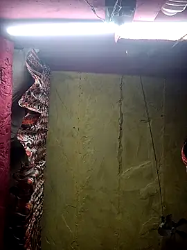 Suman ji1 online show from 11.25.25