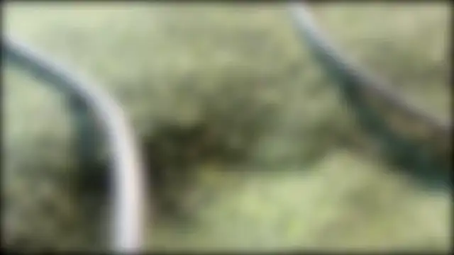 Snapshot of AzureEyes chatting on 02.24.26 AzureEyes online show from 02.24.26