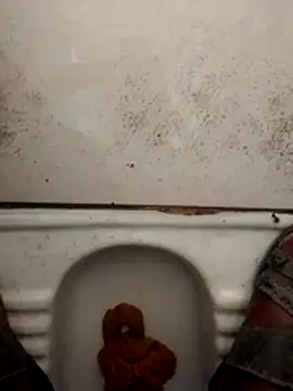 haryanaboypanipat12 online show from 03.17.26