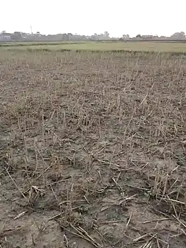 haryanaboypanipat12 online show from 05.14.26