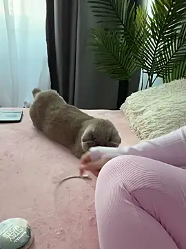 Andrestarr online show from 03.14.26