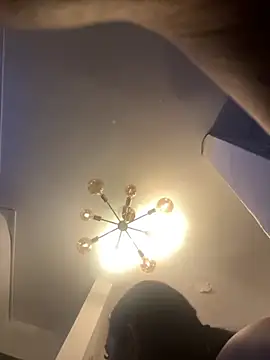 SienaWild online show from 11.02.25