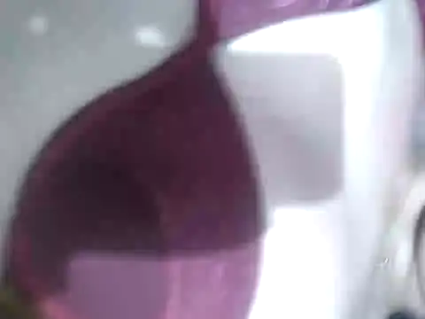 Cachorrinha2025 online show from 09.21.25