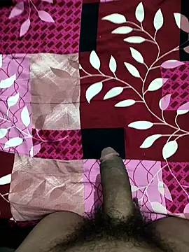 bold guy 1234 online show from 10.22.25