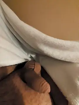 verjaya online show from 11.15.25