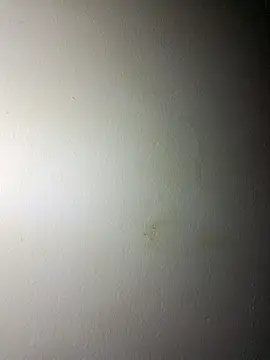 Snapshot of BigD_Mikee chatting on 12.17.25 BigD Mikee online show from 12.17.25