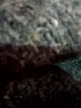 Hott locky online show from 12.13.25