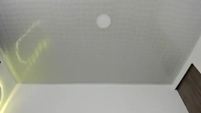 brandy h9 online show from 01.17.26