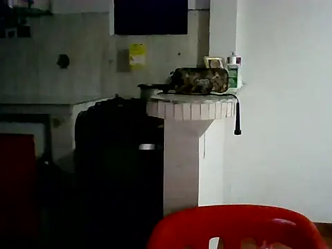 XavierFox1 online show from 11.18.25