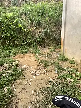 Snapshot of phuongxinhxan chatting on 03.31.26 phuongxinhxan online show from 03.31.26