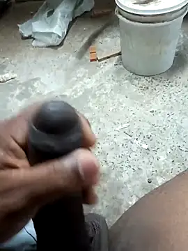 preto3561 online show from 03.04.26