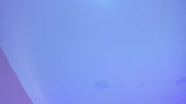 cata monrey online show from 10.29.25