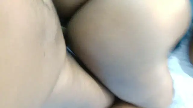 Dandelion enigman online show from 01.11.26