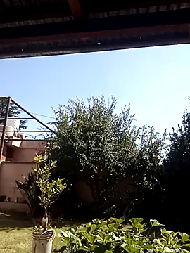 -Axelconda420 online show from 03.25.26