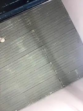 Snapshot of Bulma04 chatting on 12.04.25 Bulma04 online show from 12.04.25