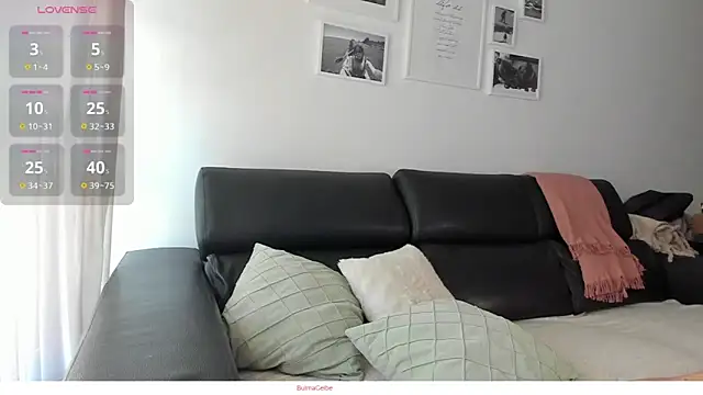 BulmaCeibe online show from 10.05.25