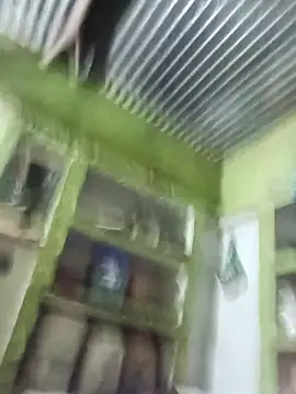 Haliya88 online show from 11.11.25