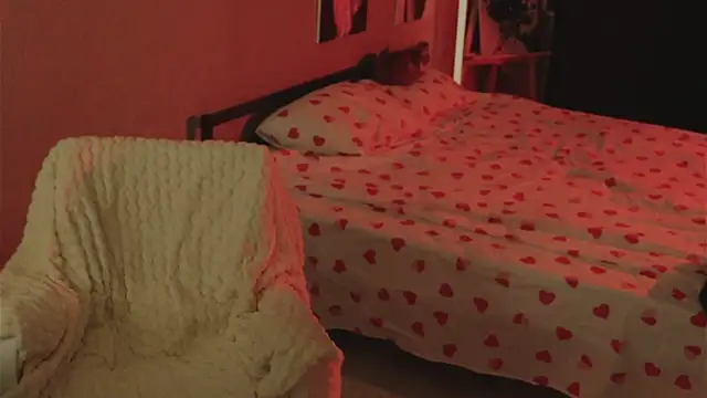 Snapshot of Al1ceGreen chatting on 11.04.25 Al1ceGreen online show from 11.04.25