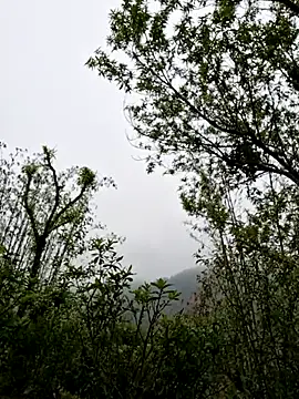 xuxulovezz online show from 04.01.26