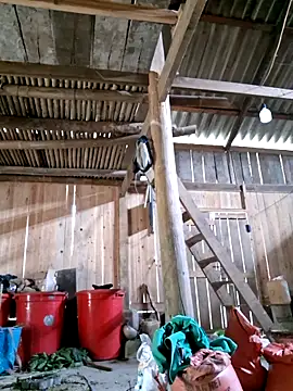 xuxulovezz online show from 04.04.26