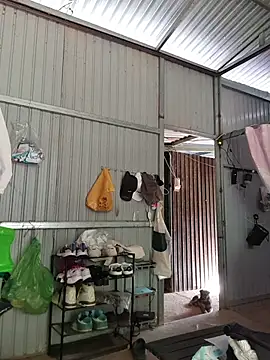 Helen-Tran online show from 12.17.25